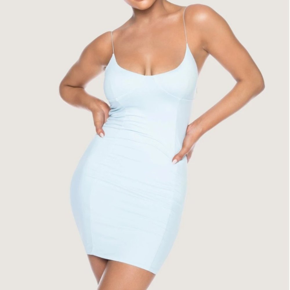 MESHKI Cenza BodyCon Dress
